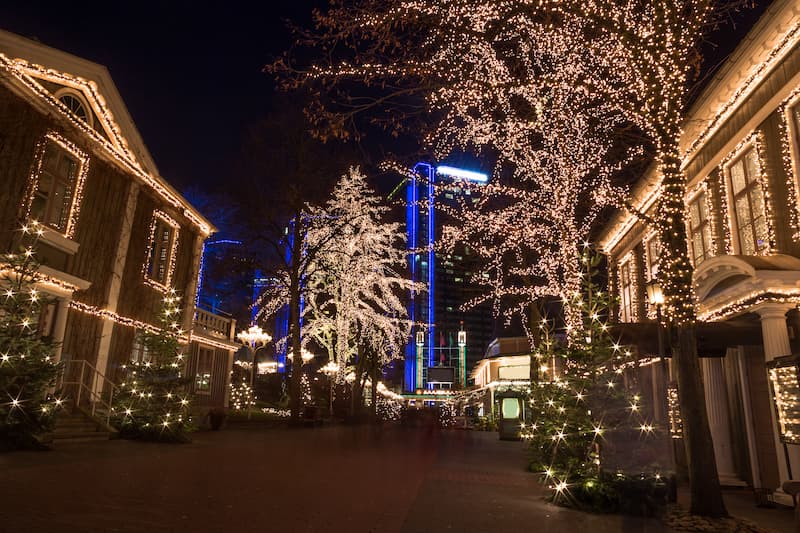 5 Reasons to Hire a Professional for Your Christmas Light Installation